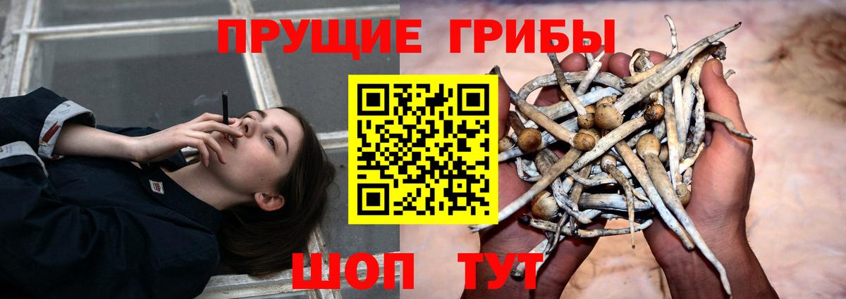 Советск  Галлюциногенные грибы ЛСД  Вход с VPN 