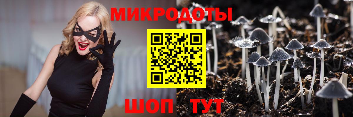 Псилоцибиновые грибы прущие грибы Советск